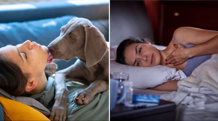 Pet dog's frantic face-licking at 2 a.m. for weeks left this owner annoyed — until a camera showed it was a desperate attempt to keep them alive