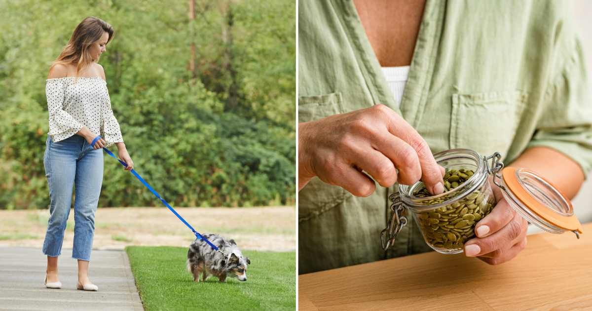 (L) A woman walking her dog on lawn. (R) A woman holding a jar of seeds. (Representative Cover Image Source: Getty Images | (L) AJ Watt, (R) fcafotodigital)