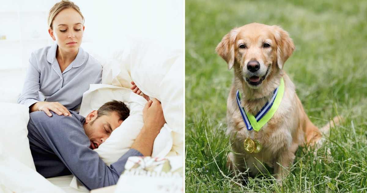 (L) A woman waking up her husband. (R) A golden retriever with medals. (Representative Cover Image Source: Getty Images | (L) Stockbyte, (R) Artem Zakharov)