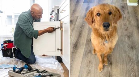 Dog owner asks maintenance guy to film their Golden Retriever’s reaction to ‘stranger danger’ test — and their theory is instantly proven right