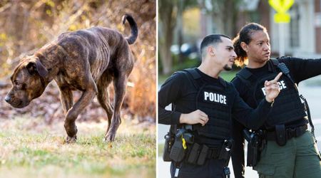 East Liverpool woman let her dog waste away to ‘skin and bones’ and spun a fake rescue story to fool cops — but her actions soon caught up with her