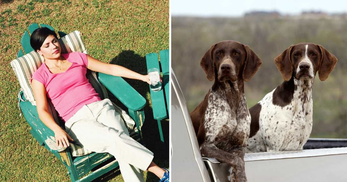 (L) A woman sunbathing in yard. (R) Two hunting dogs sitting in a truck. (Representative Cover Image Source: Getty Images | (L) PictureNet Corporation, (R) jjMiller11)