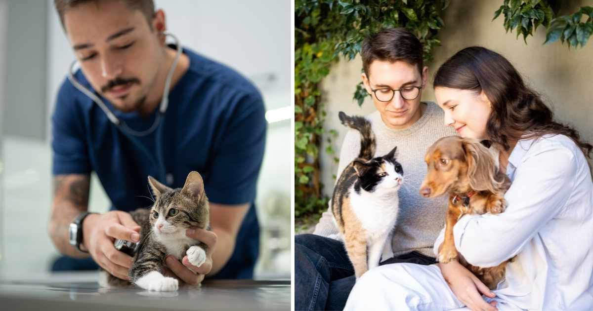 (L) A vet checking a kitten. (R) A couple with their pet dog and cat. (Representative Cover Image Source: Getty Images | (L) ilkermetinkursova, (R) Nicky Lloyd)