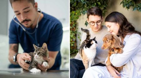 Vet calls out 3 common but costly mistakes cat owners make by treating them as ‘easier’ than dogs