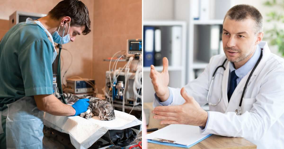 (L) A vet performing surgery on cat. (L) A doctor talking to patient. (Representative Cover Image Source: Getty Images | (L) Kateryna Kukota, (R) Prostock studio)