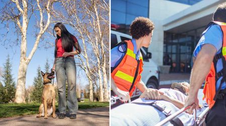 Belgian Malinois suddenly stopped mid-run and led her owner to a stranger’s house — and the dog’s ‘nurse’ instinct ended up saving a life