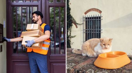 Amazon driver paused at feral‑cat bowls outside a house and reached into his pocket — what he did next sent the homeowner rushing to the door