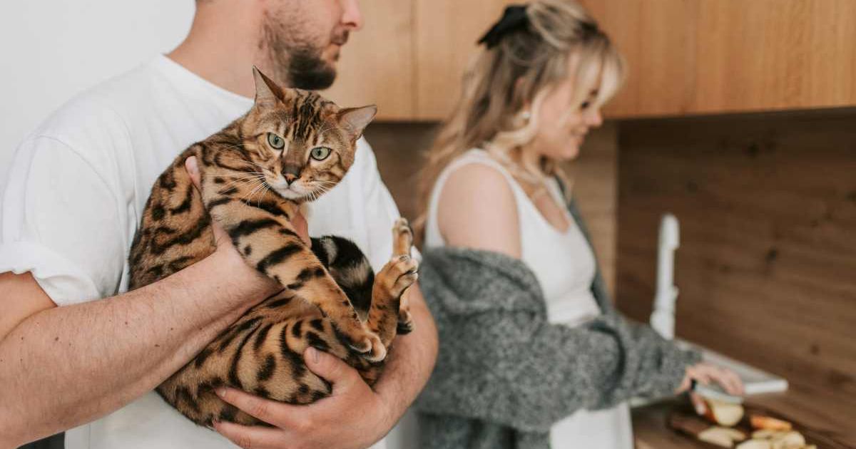 Man Carrying a Cat and a Woman Slicing Fruits. (Representative Image Source: Pexels | Vlada Karpovich)
