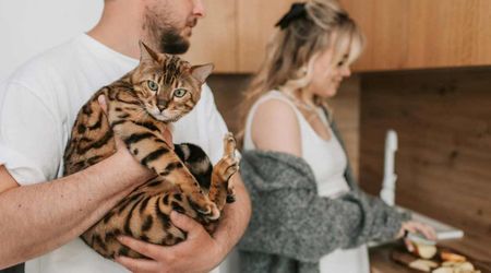 Study finds why cats meow louder at the man in the house — and women instantly relate