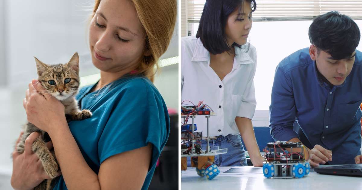 (L) A female vet with a kitten. (R) Two engineering students working on something.  (Representative Cover Image Source: Getty Images | (L) ilkermetinkursova, (R) JK1991)