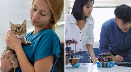 Vet brought a paralyzed kitten to engineering students hoping for help — two weeks later, their brilliant invention sent her chasing things again