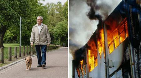His dog's well‑timed walk pulled an elderly man outside his house — returned to find the pet saved him from 'deadliest' tragedy that claimed 128 lives