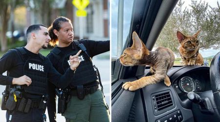 Cops rescued two kittens from an abandoned car hoping for a ‘happy ending’ – but their new owner’s heartfelt twist was even better than they imagined