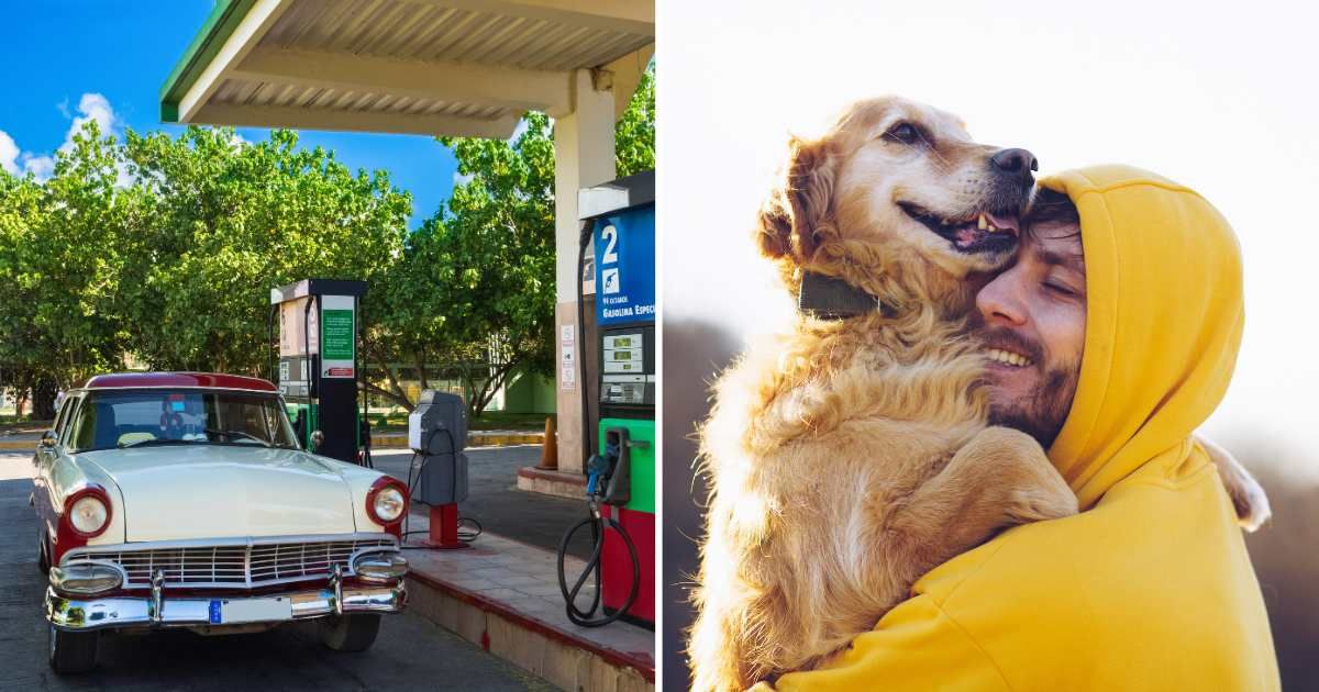 (L) Vintage car at gas station. (R) Man hugging dog. (Representative Cover Image Source: Getty Images | (L) MaboHH, (R) Nevena 1987)