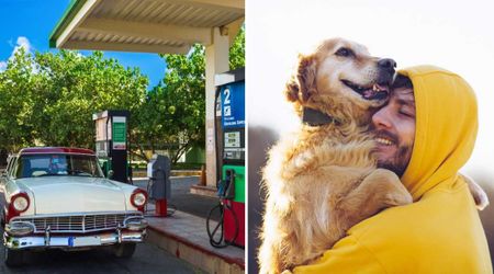 Man whose dog was stolen in a car at a gas station got a ‘Christmas miracle’ — when his pet returned just 15 minutes later on its own