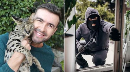 Barbershop owner devastated after thieves stole his 'rare' cat in a Thanksgiving break-in — a loss far more ‘priceless’ than the $14,000 in damage