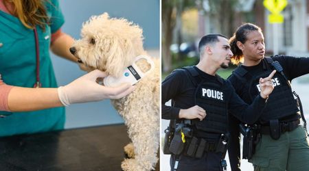 A simple microchip scan traced the owners of a dog abandoned with a note claiming they were ‘dead’ — and what cops uncovered was deeply disturbing