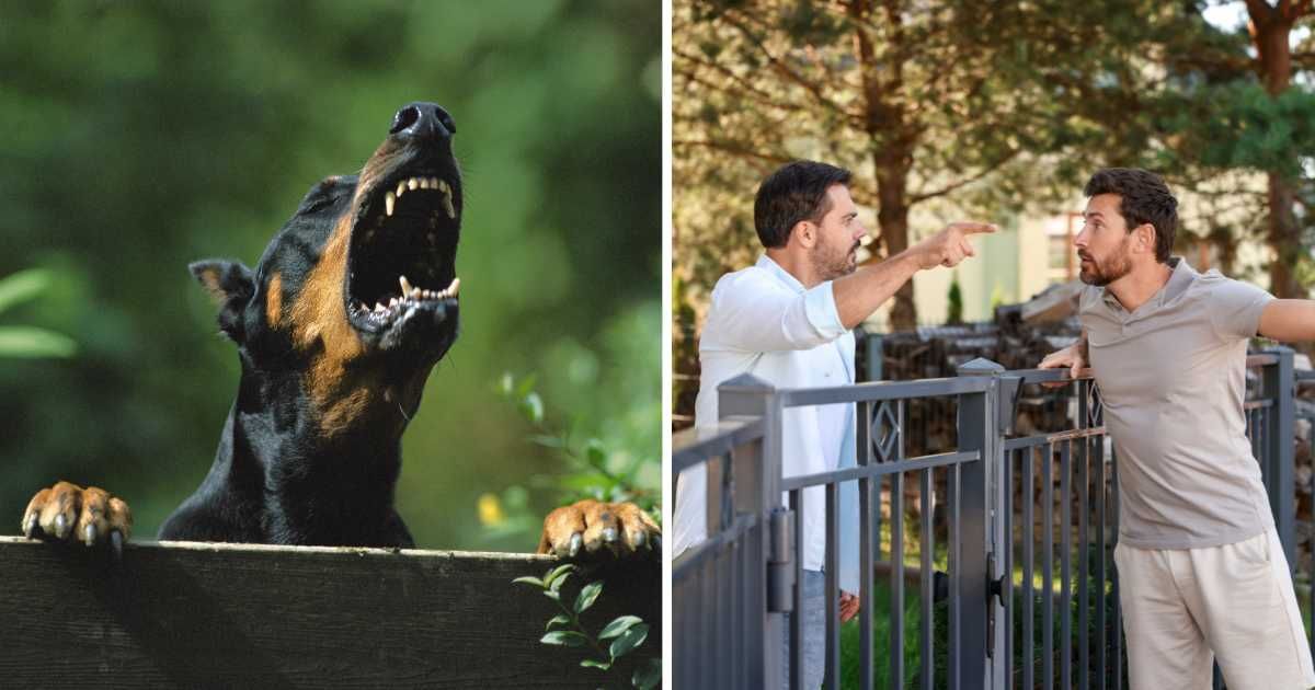 (L) A dog barking. (R) Neighbors arguing. (Representative Cover Image Source: Getty Images | (L) Connect images pink, (R) Luidmila Chernetska)