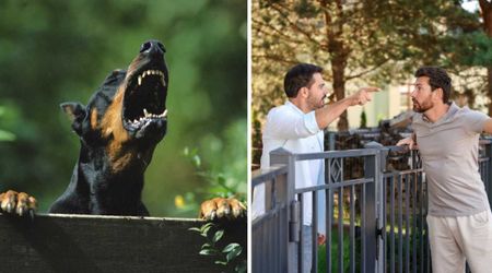 Couple with aggressive dogs harassed neighbor for using fence to protect their pets — until one video turned the tables and left them paying the price