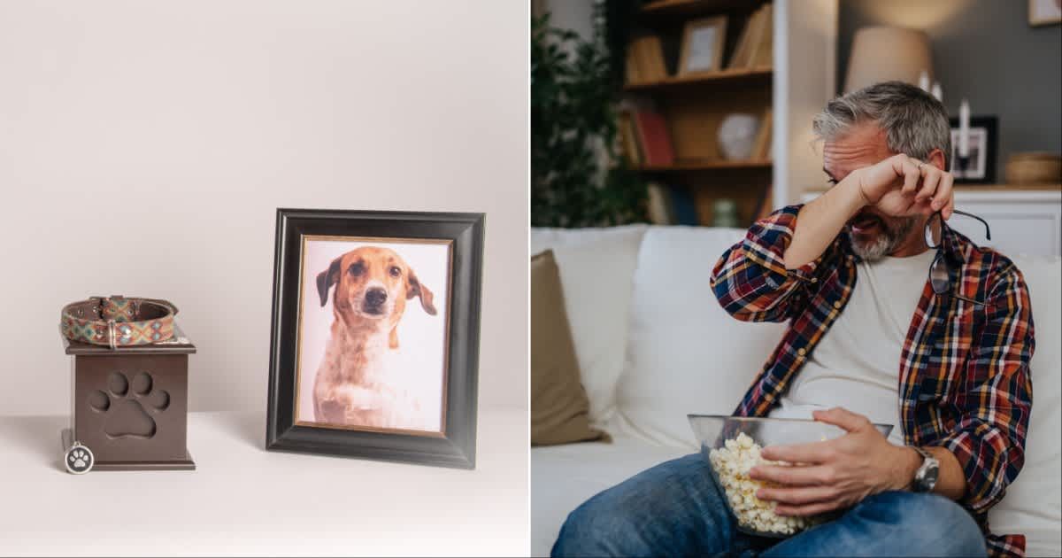 (L ) A leash next to a portrait of a dog ; (R) A man crying while watching a sad movie (Representative Cover Source: Getty Images | Photo by (L) Claudia Luna ; (R) mladenbalinovac)