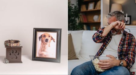 Grieving his dog of 12 years, a man forced himself to watch a horror movie about a loyal pet for closure — and it hit him far deeper than he expected