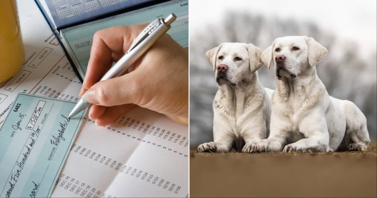 (L ) A person signing a check ; (R) Two identical dogs (Representative Cover Source: Getty Images | Photo by (L) YinYang ; (R) manushot)