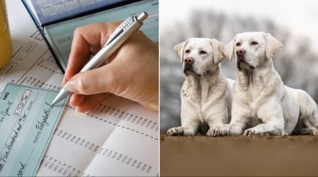 48-year-old who ‘couldn’t function’ after her dog’s death spent $50K to clone him — but the result left her instantly regretting her ‘crazy’ decision