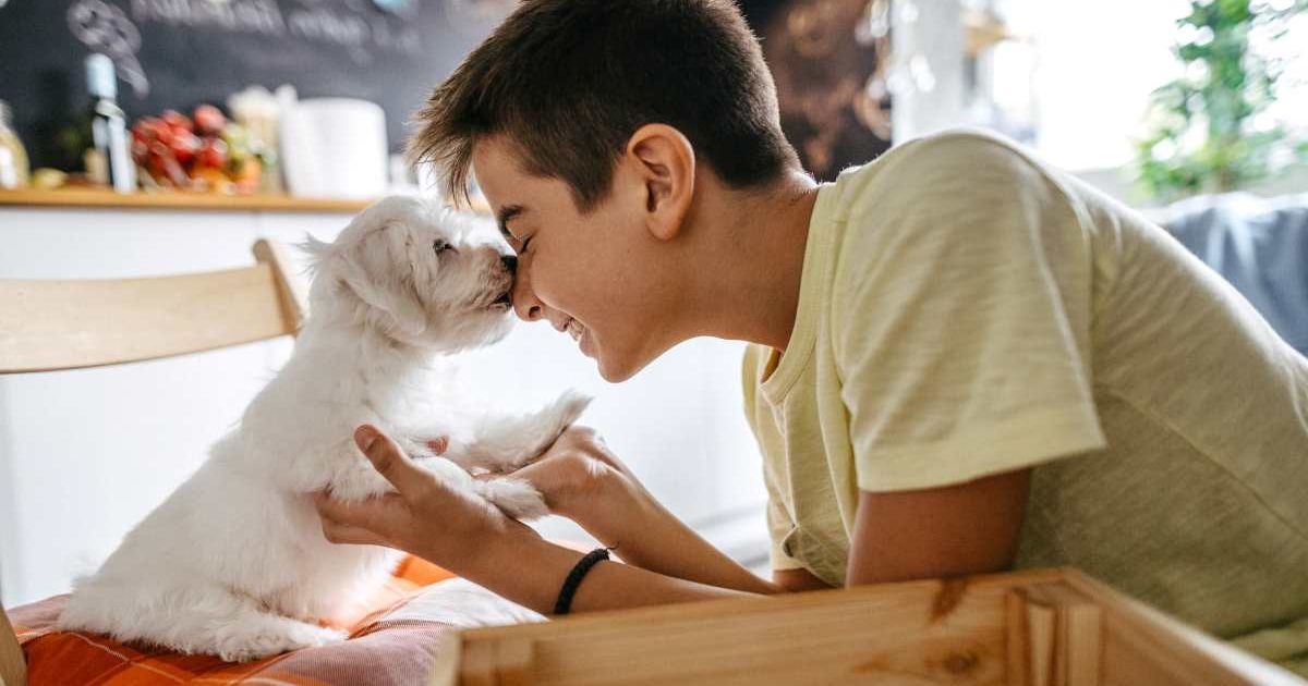 Teenage boy with puppy. (Representative Cover Image Source: Getty Images | mixetto)