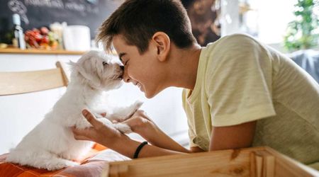Scientists studied the mental health of teenagers with pet dogs and found one major difference
