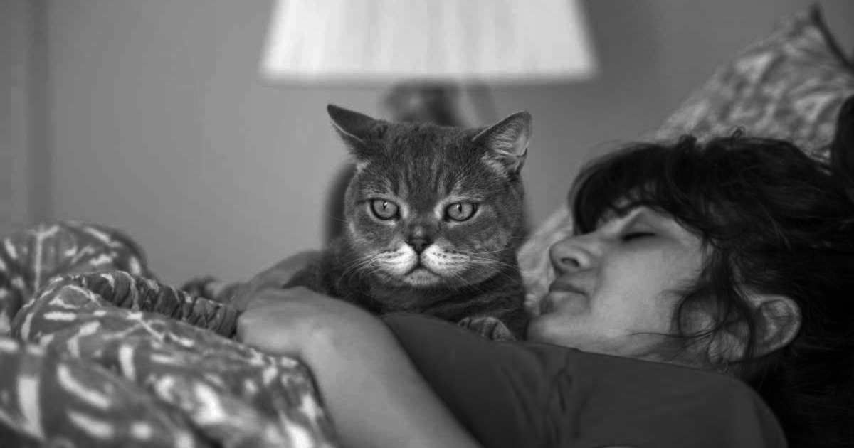 Woman and cat sleeping together.(Representative Image Source: Getty Images | 101cats)