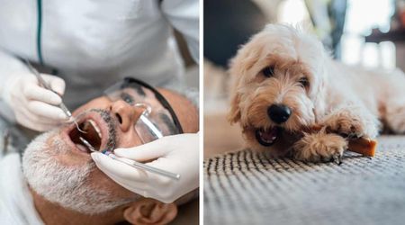 99-year-old Hollywood icon rushed to the ER for an X-ray, fearing he’d swallowed his dentures — then learned the hilarious truth from his dog