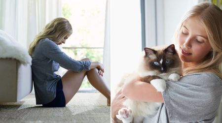 A cat who never paws for anything left her sad owner in tears with one surprising gesture: ‘It felt like she just knew’