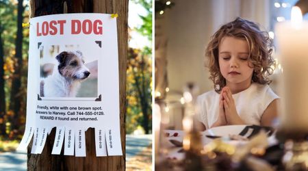 A 6-year-old asked Santa to skip the Jasmine dress she’d wished for and prayed for her missing dogs’ return — a Christmas miracle arrived 8 days later