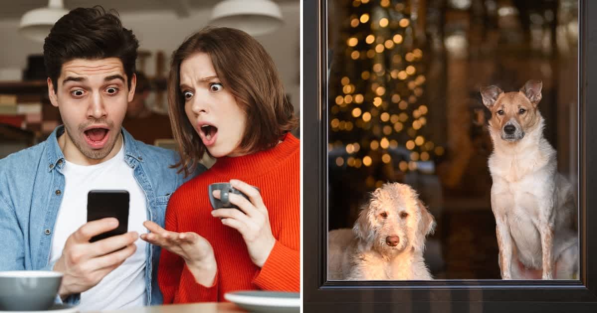 (L) A couple shocked looking at their phone. (R) Two doors at the door. (Representative Cover Image Source: Getty Images | (L) Dean Drobot, (R) Natasha Sioss)