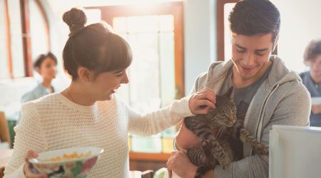 40% of Gen Z and Millennials say ‘cat dads’ are the ultimate green flag in dating — thanks to one surprising personality trait