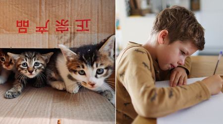 Little kid left a heart-wrenching note beside three abandoned kittens — what it said about his dad left the rescuer in tears