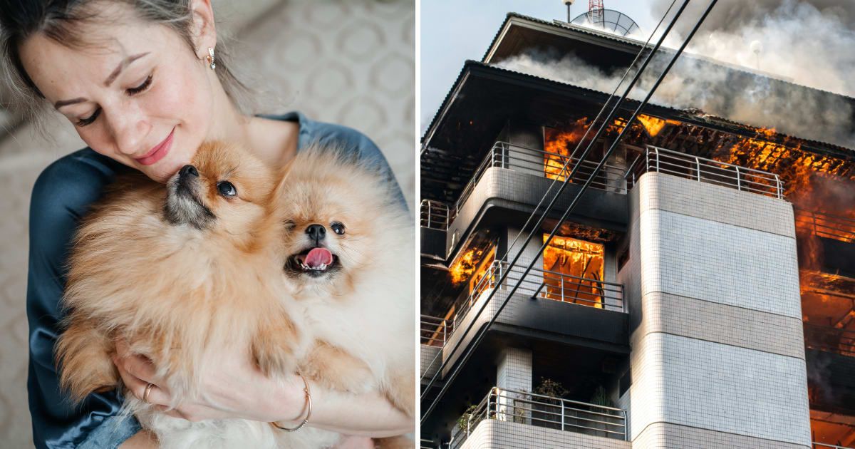 (L) A woman hugging her two Pomeranian dogs. (R) A house fire. (Representative Cover Image Source: Getty Images | (L) Svetlana Repnitskaya, (R) Witthaya Prasongsin)