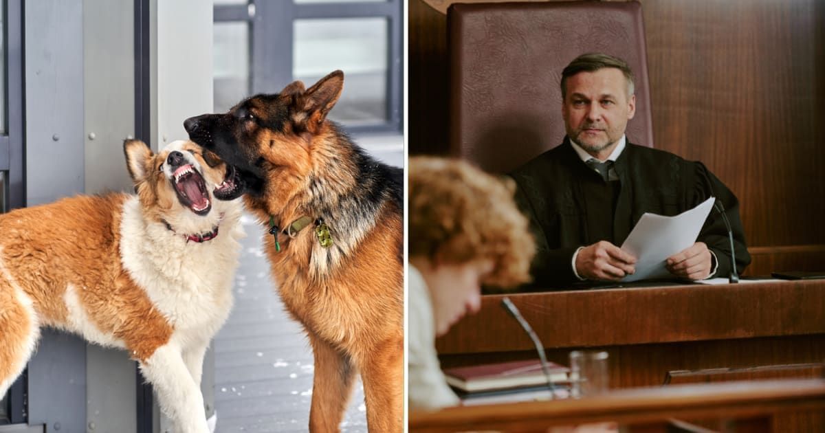 (L) Two dogs barking. (R) A judge in the court. (Representative Cover Image Source: Getty Images | (L) Mariyariya, (R) Anna Stills)