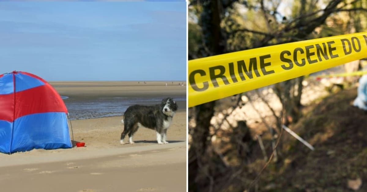 (L) Dog at beach. (R) Crime scene blocked by police. (Representative Cover Image Source: Getty Images | (L) redmark, (R) Ashley Cooper)