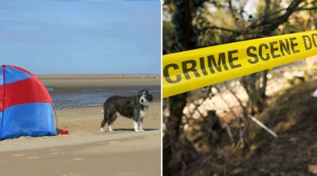 Loyal dog in the line of fire refused to leave her owner, standing guard over him during the Bondi Beach shooting