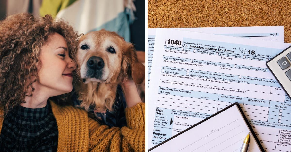 (L) A woman hugging her pet dog. (R) US income tax return form. (Representative Cover Image Source: Getty Images | (L) filadendron, (R) Nora Carol Photography)