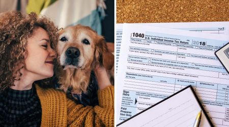 New York lawyer sues the IRS to recognize her Golden Retriever as her ‘daughter’ for tax benefits — citing a $5,000 annual expense