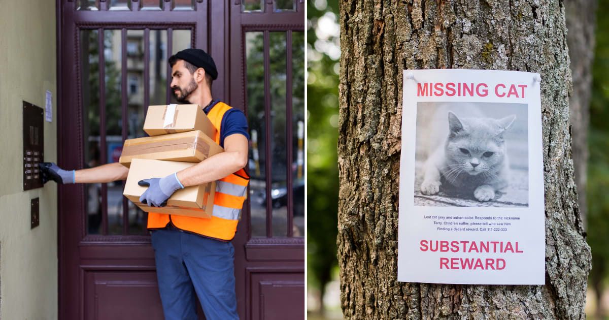 (L) Delivery guy at door. (R) A missing cat poster. (Representative Cover Image Source: Getty Images | (L) Luis Alvarez, (R) StockSeller_ukr)