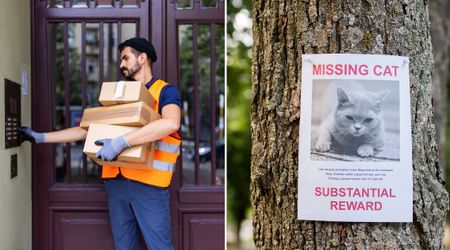 Woman replayed Ring footage of an Amazon package drop-off again and again after her cat went missing — and froze at what she heard