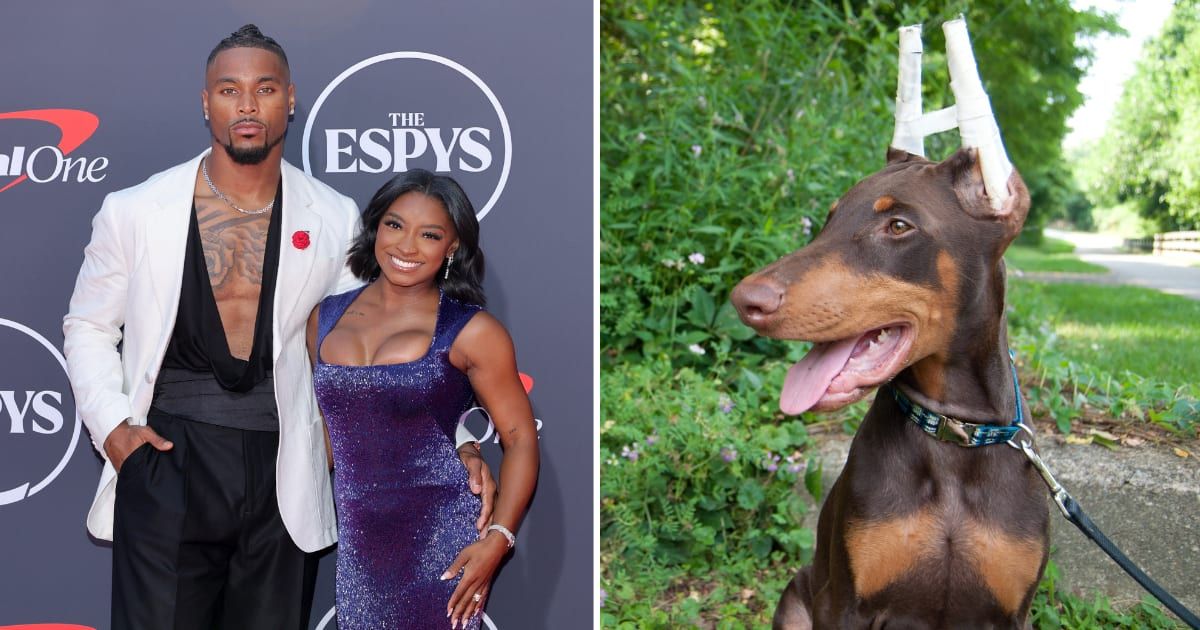 (L) Simone Biles with husband Jonathan Owens. (Cover Image Source: Getty Images | Maya Dehlin Spach) (R) Doberman with taped upright ears. (Representative Cover Image Source: Getty Images | kimkphotos_com)