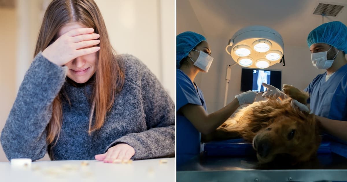 (L) Woman crying. (R) A pet dog at vet under going surgery. (Representative Cover Image Source: Getty Images | (L) Johner Images, (R) andresr)