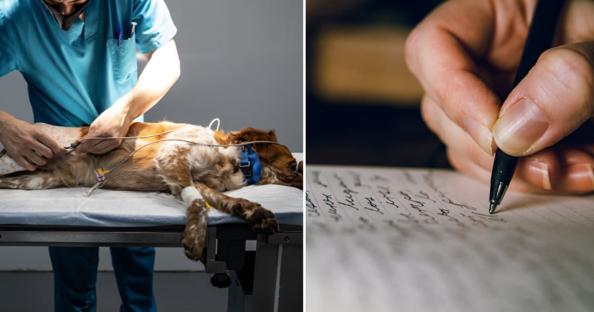 (L) A dog getting treatment at vet. (R) A person writing a letter. (Representative Cover Image Source: Getty Images | (L) Manu Vega, (R) Jacques Julien)