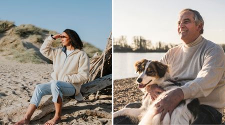 Dog went missing twice at the beach the same evening — then returned glued to a stranger whose words left the owner in tears