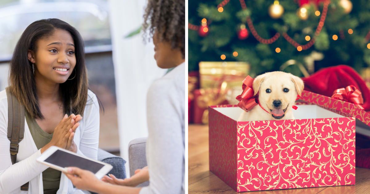 (L) Girl requesting her mom. (R) A puppy in a gift box. (Representative Cover Image Source: Getty Images | (L) SDI Productions, (R) fotostorm)