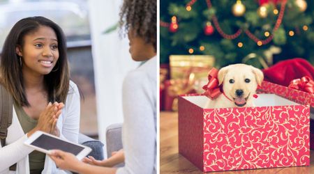 A girl’s Christmas puppy request seemed impossible after her mom’s wild demands — then it all came together